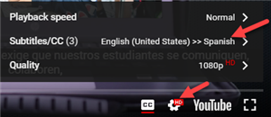 Change Your Language Subtitles 